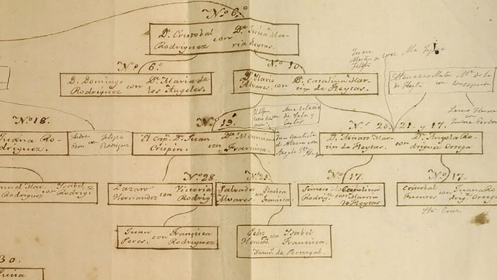 1-genelogia-1024x576